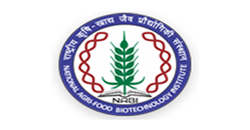 nabi-logo